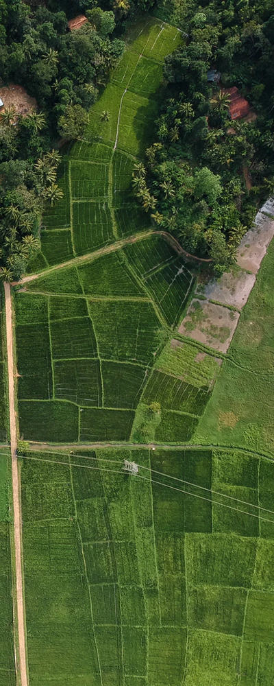 https://drones-ingenierie.com/app/uploads/2022/06/Champs-agricole-où-lon-peut-réaliser-une-pulvérisation.png